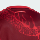 Internacional - Third 26/27 Fan Shirt
