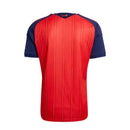 Spain HOME  2026 WORLD CUP - Fan Version