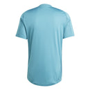 Cruzeiro ADIDAS Training Football Shirts  2025