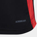 Internacional ADIDAS Training Football Shirts  2025/26