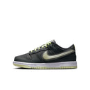 Nike Dunk Low RON GREY/COOL GREY-LIME ICE-WHITE HQ3569-068