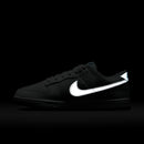 Nike Dunk Low  SE SUMMIT WHITE/METALLIC SILVER-GLACIER ICE HQ3619-121