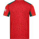 Wolverhampton 23/24 II Away Jersey - Fan Version